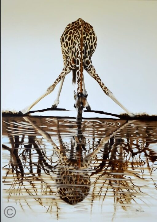 Reflection